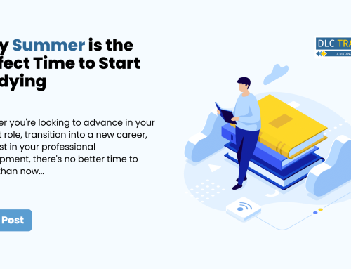 Why Summer is the Perfect Time to Start Studying